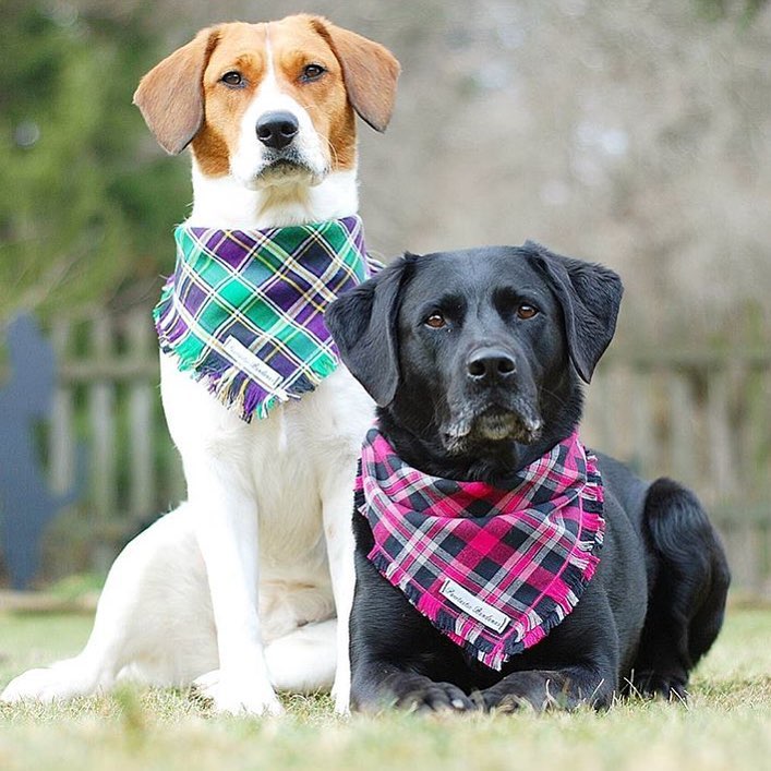 Bandanas