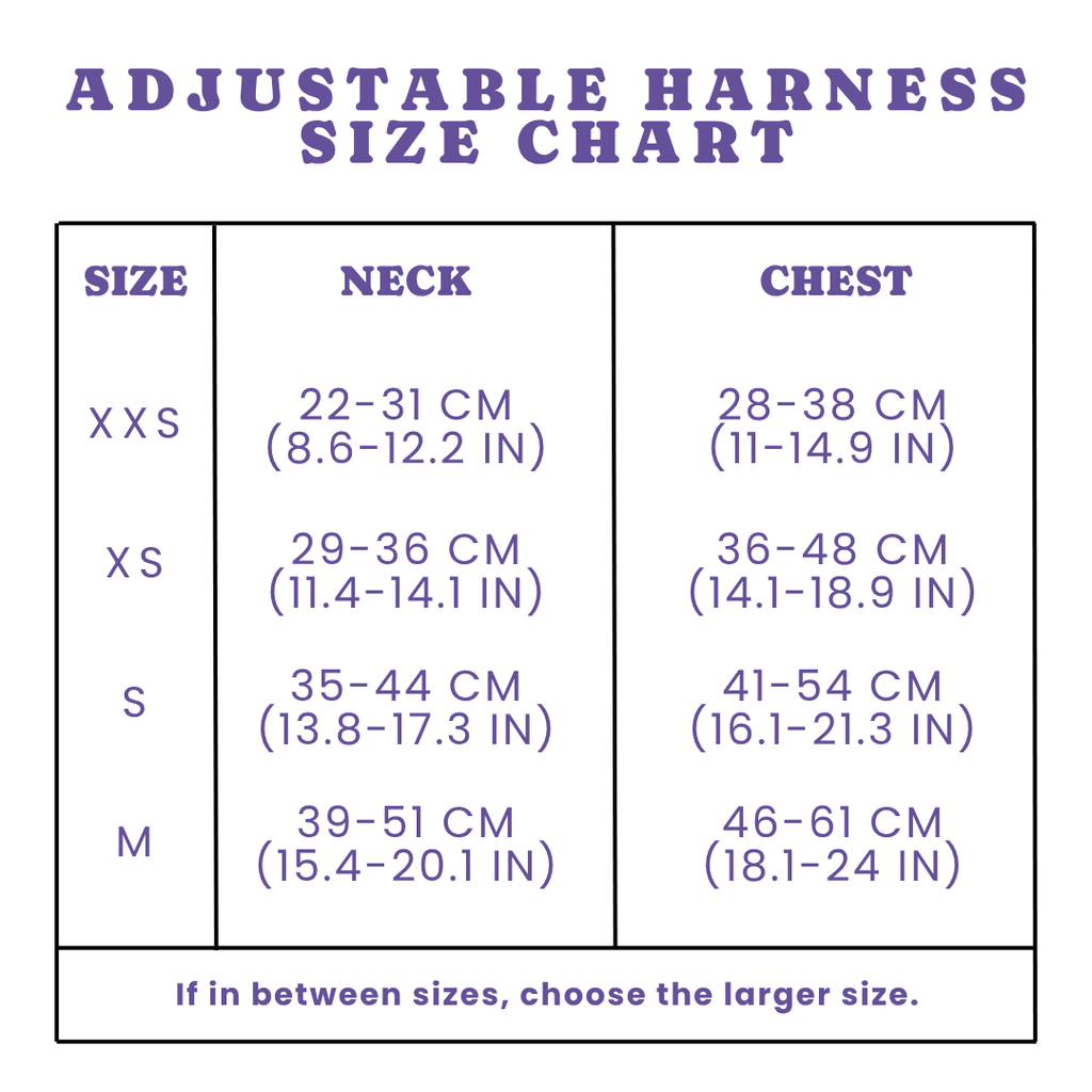 Everyday Harness | Sharks