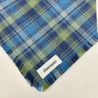 Pacific Plaid | Frayed Snap-On Bandana
