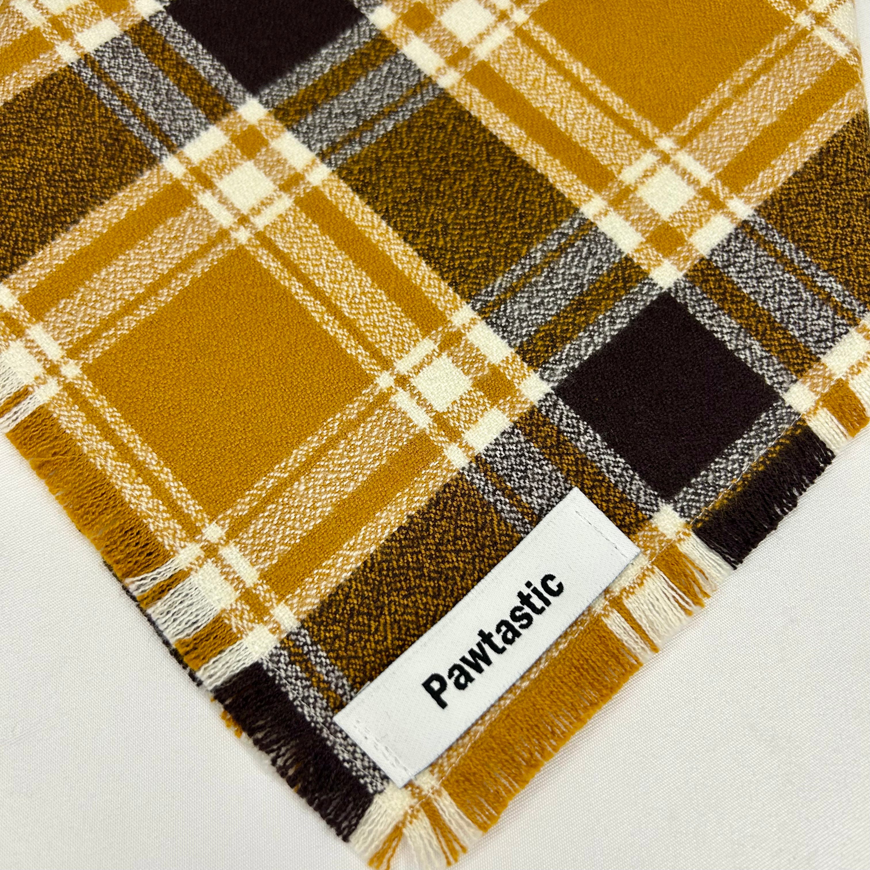 Priarie Gold | Frayed Snap-On Bandana