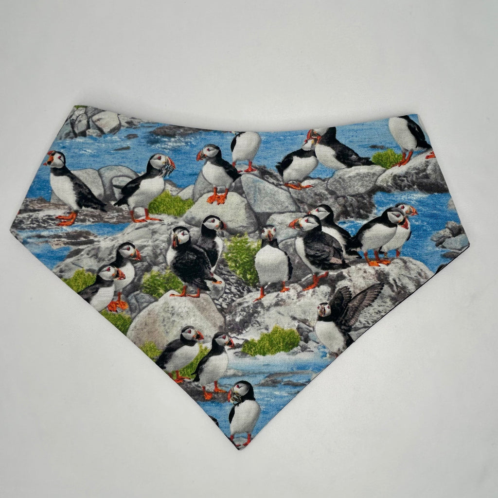 Puffin Around | Cotton Snap-On Bandana
