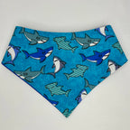 Fin-tastic | Cotton Snap-On Bandana