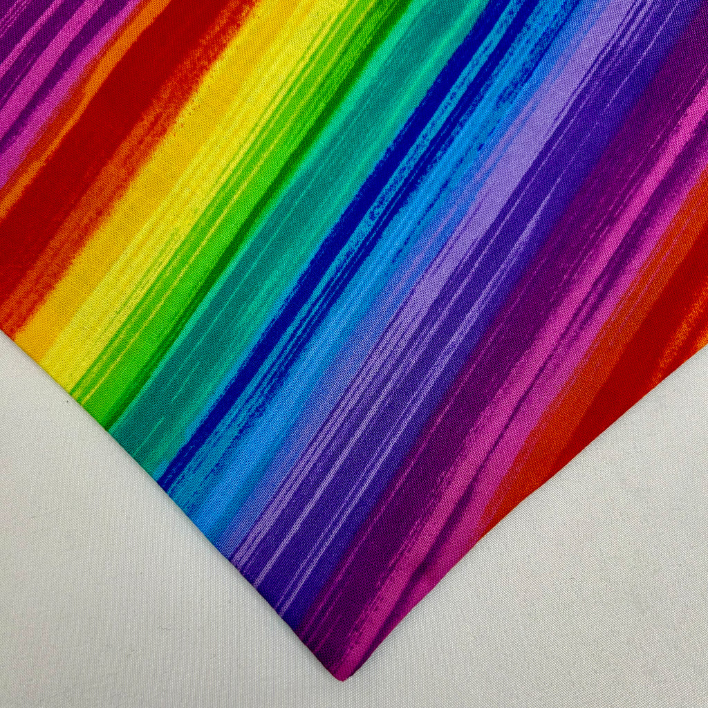 Paws for Pride | Cotton Snap-On Bandana