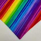 Paws for Pride | Cotton Snap-On Bandana