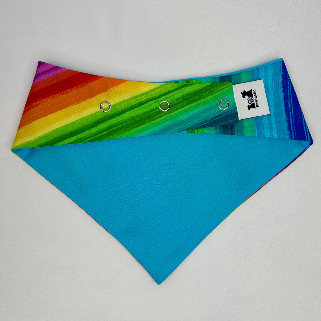 Paws for Pride | Cotton Snap-On Bandana
