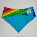 Paws for Pride | Cotton Snap-On Bandana