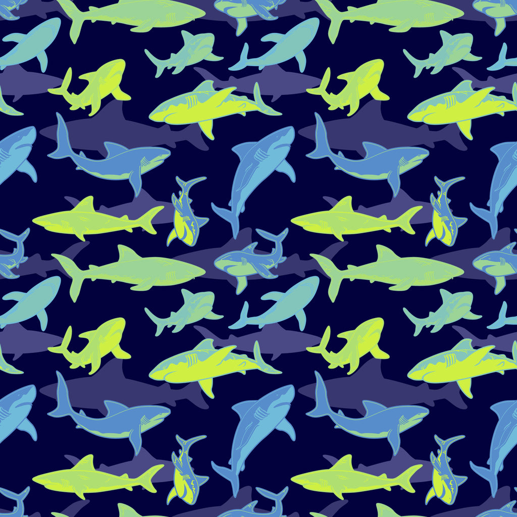 Signature Collar | Sharks
