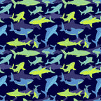 Signature Collar | Sharks