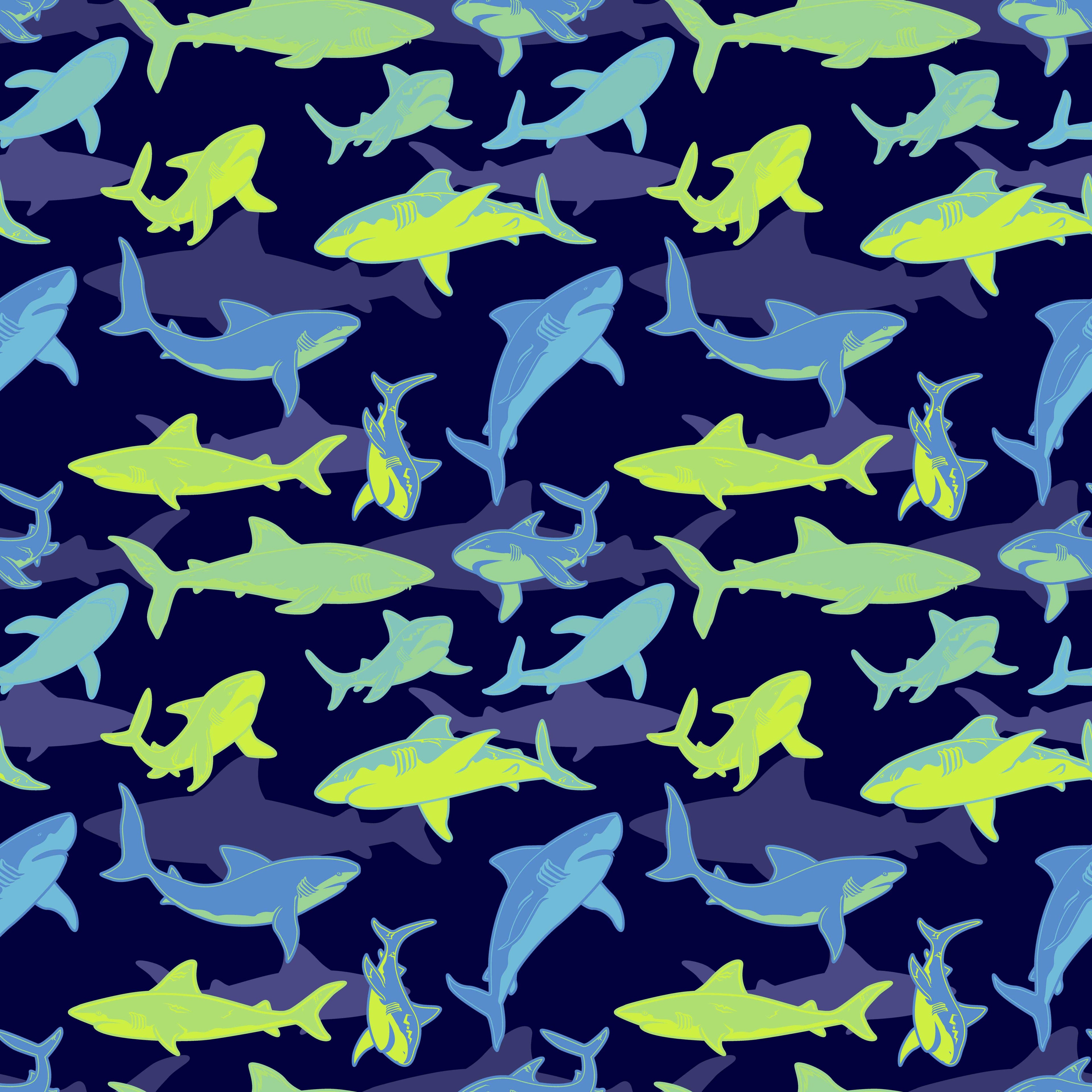 Signature Collar | Sharks