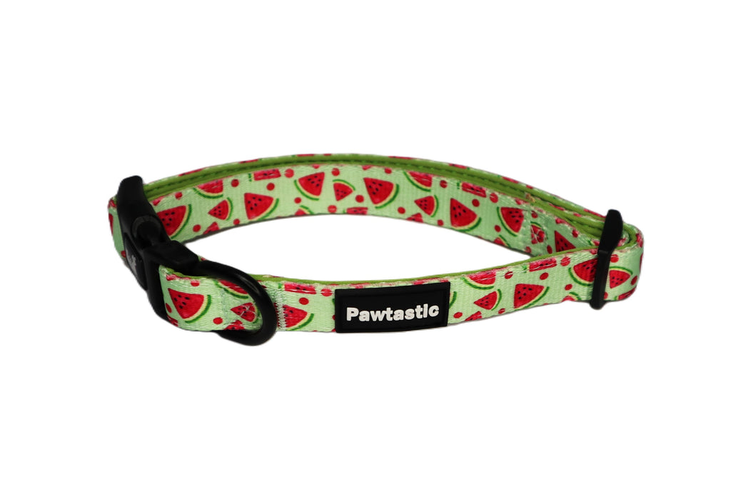 Signature Collar | Watermelon