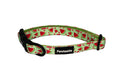 Signature Collar | Watermelon